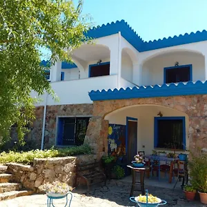 book here